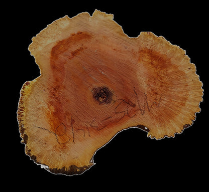 Maple Burl | Live Edge | River Table | DIY | Ma25-3142