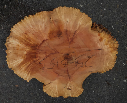 Maple Burl | Live Edge | River Table | DIY | Ma25-3155