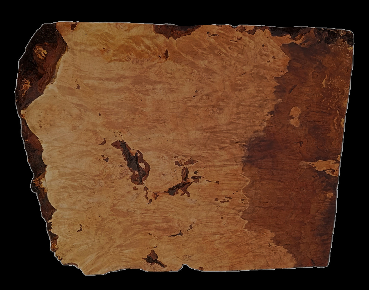 Maple Burl Block | Craft wood | DIY | Live Edge | ma25-3215