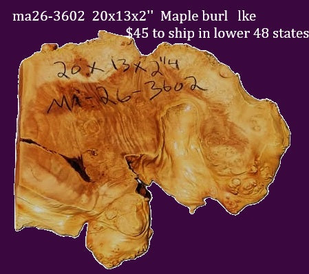 Maple Burl | DIY | Table | Craft-wood | ma26-3602
