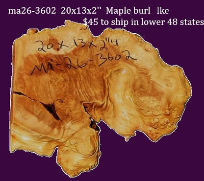 Maple Burl | DIY | Table | Craft-wood | ma26-3602