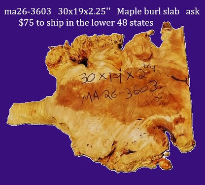 Maple Burl Slab | DIY | Table | Craft-wood | ma26-3603