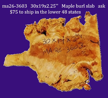 Maple Burl Slab | DIY | Table | Craft-wood | ma26-3603