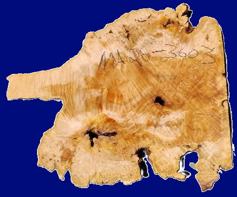 Maple Burl Slab | DIY | Table | Craft-wood | ma26-3603
