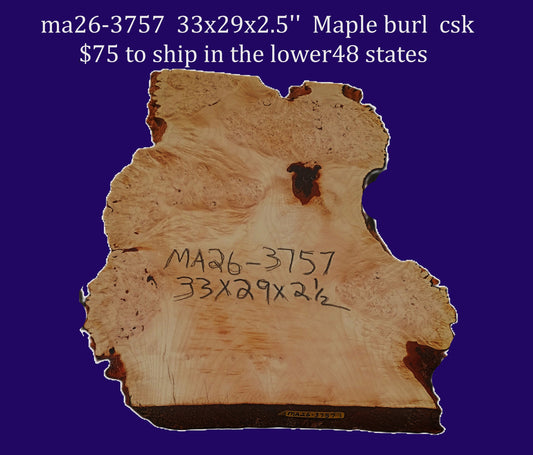 Maple Burl slab | DIY | River Table | Craft-wood | ma26-3757