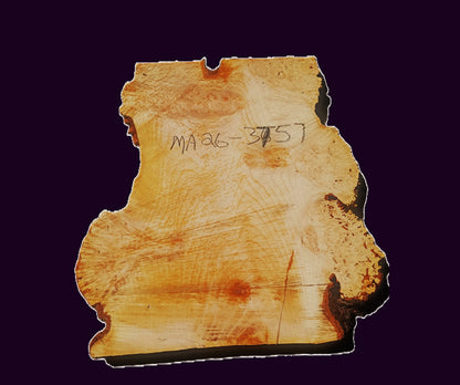 Maple Burl slab | DIY | River Table | Craft-wood | ma26-3757