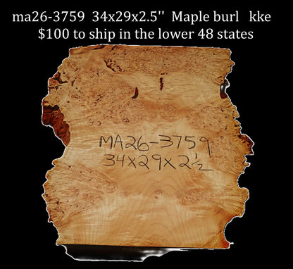Maple Burl slab | DIY | River Table | Craft-wood | ma26-3759