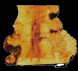 Maple Burl Slab | DIY | River Table | Craft-wood | ma26-3762