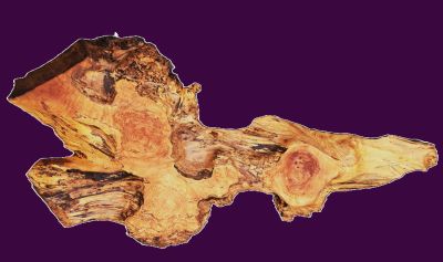 Maple Burl Slab | DIY | River Table | Craft-wood | ma26-3771