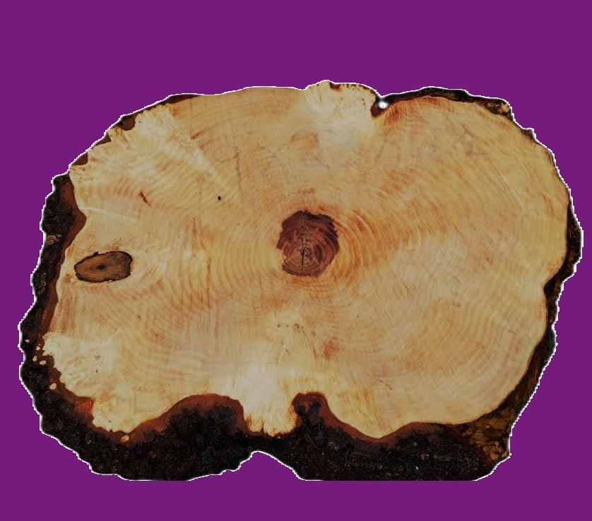 Maple Burl Slab | DIY | River Table | Craft-wood | ma26-3777