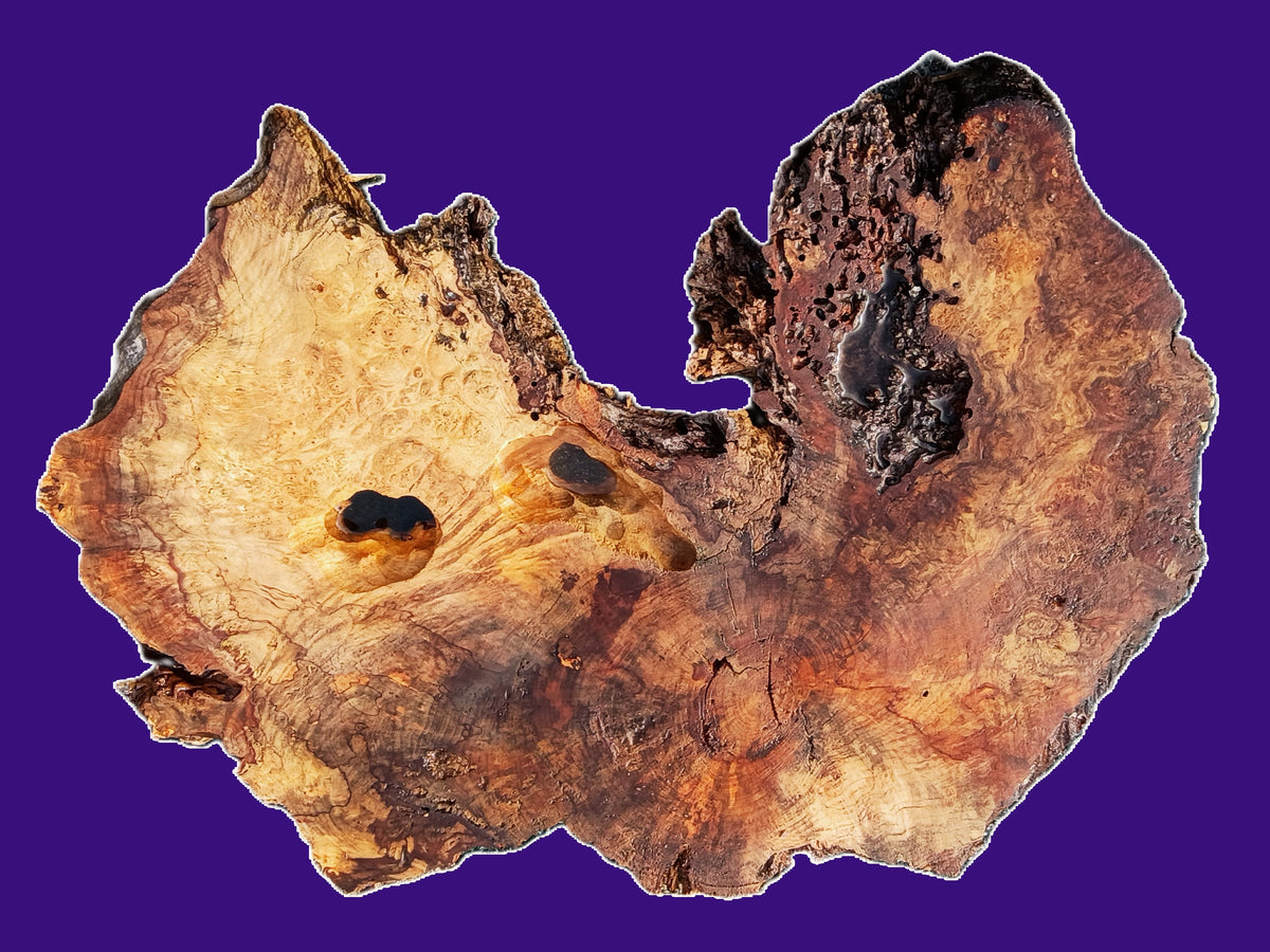 Maple Burl Slab | DIY | Table | Craft-wood | MA26-3924