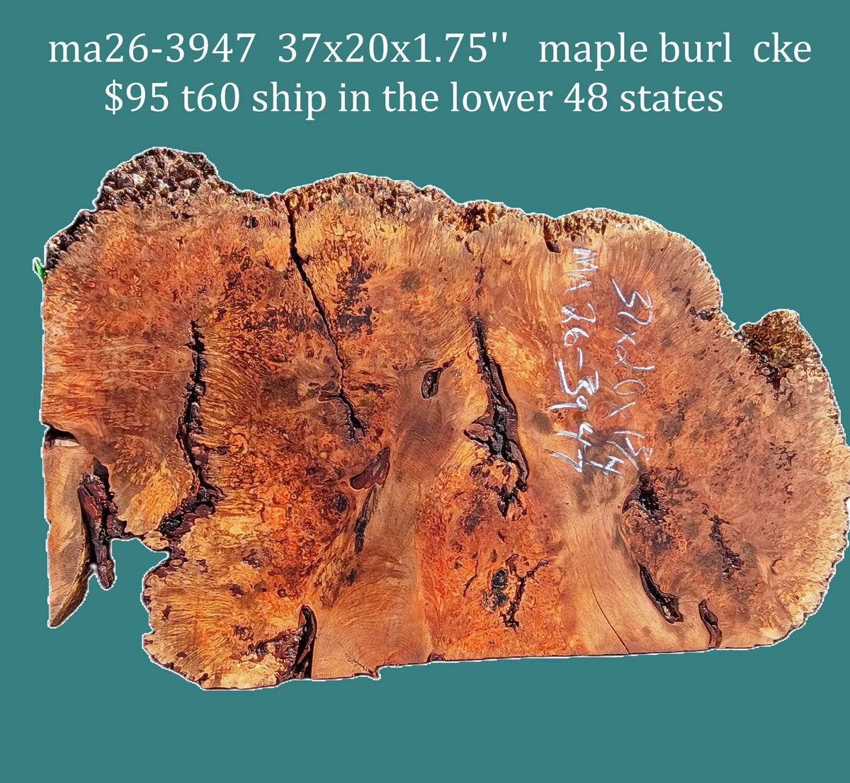 Maple Burl Slab | DIY | Table | Craft-wood | MA26-3947