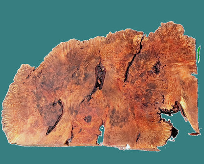 Maple Burl Slab | DIY | Table | Craft-wood | MA26-3947