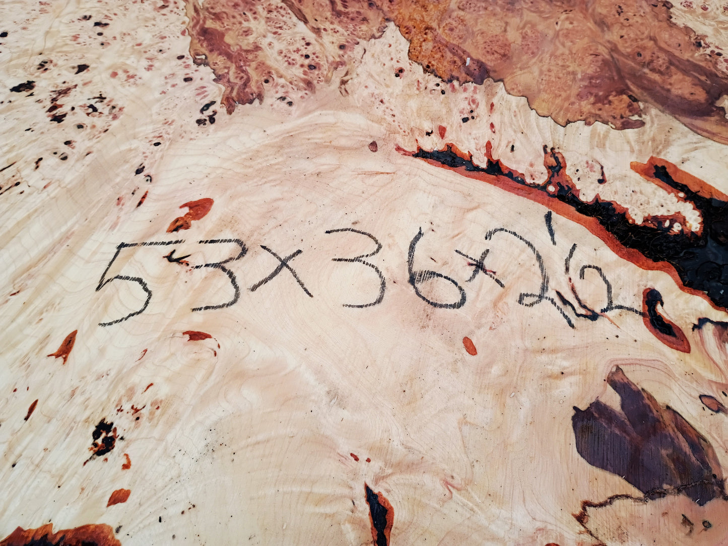 Maple Burl Slab | DIY | River Table | Craft-wood | ma26-5555