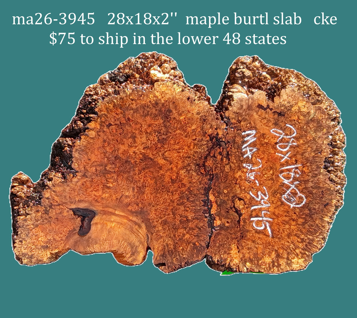 Maple Burl Slab | DIY | Table | Craft-wood | MA26-3945