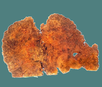 Maple Burl Slab | DIY | Table | Craft-wood | MA26-3945