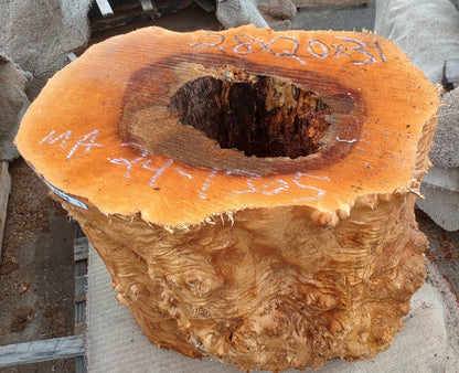 Maple Burl | Table Base | DIY Crafts | Rustic Design | mabase24-1305