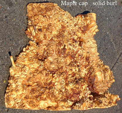 Maple Cap | Craft wood | Solid Burl | DIY Craft Wood | Bl24-1157