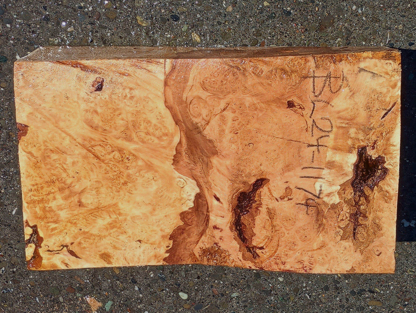 Maple Burl Block | Craft wood | Solid Burl | DIY Craft Wood | MA24-1174