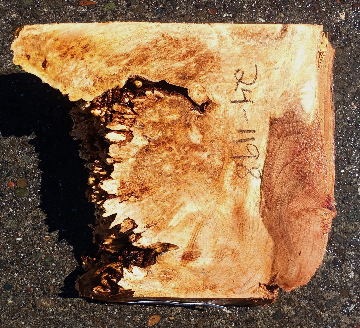 Maple Burl Block | Craft wood | Maple Burl | DIY Craft Wood | MA24-1198