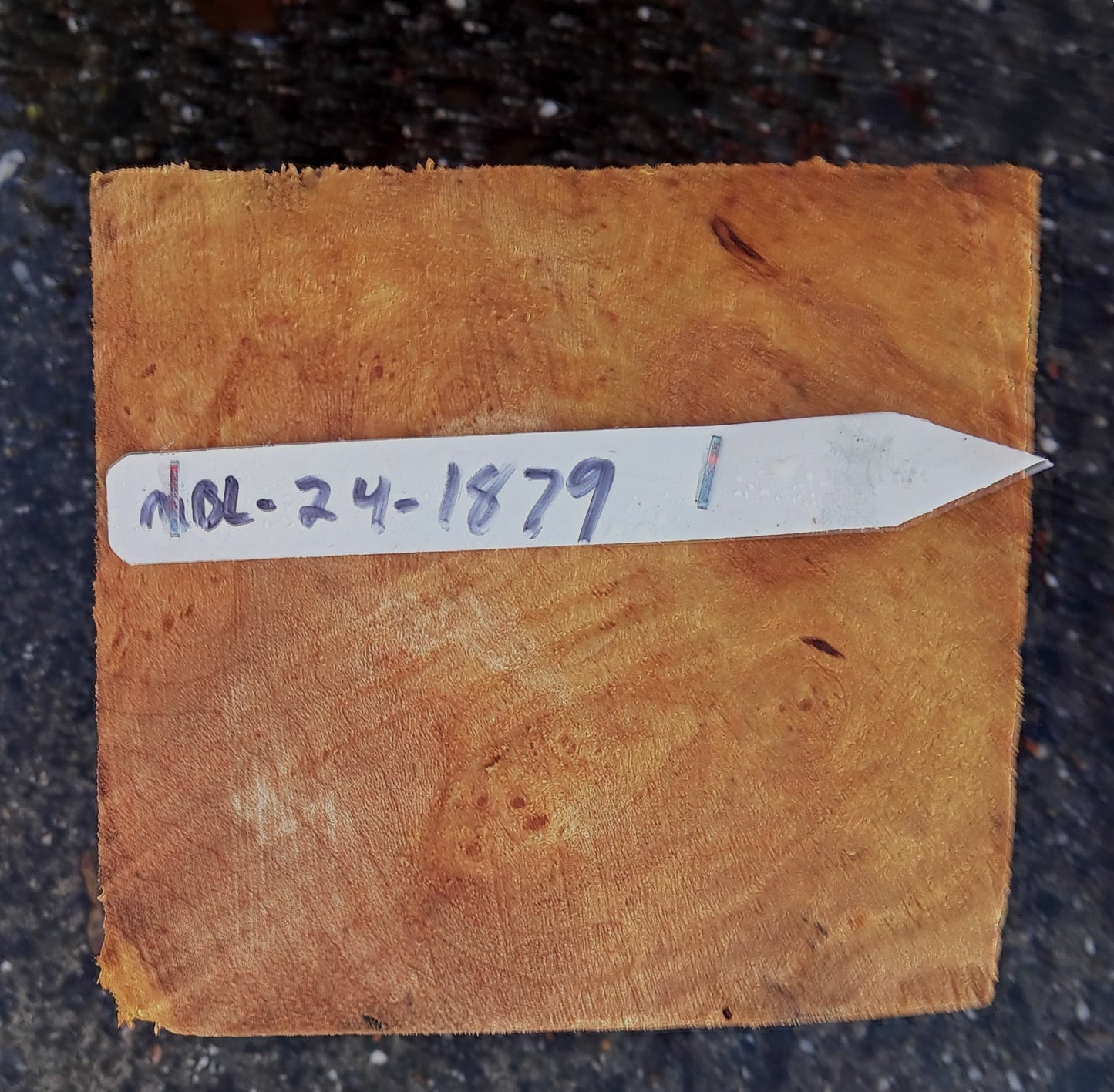 Maple Burl Block | DIY | Bowl Turning | Ma24-1879