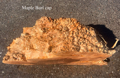 Maple Burl Block | Craft Wood | DIY | Cap | Macap24-2