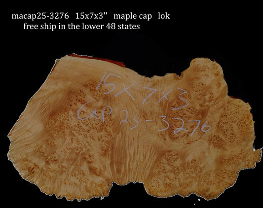 Maple Cap | Craft wood | Maple Burl | DIY Craft Wood | macap25-3276
