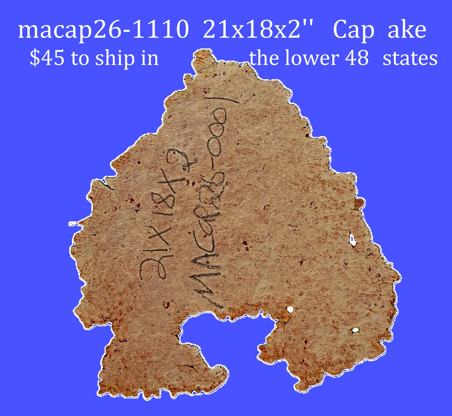 Maple Cap | Maple Burl | DIY | Craft Wood | MaCap26-0001