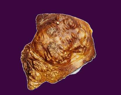 Maple Burl Cap | Bowl Turning | Craft Wood | DIY | Macap26-3537
