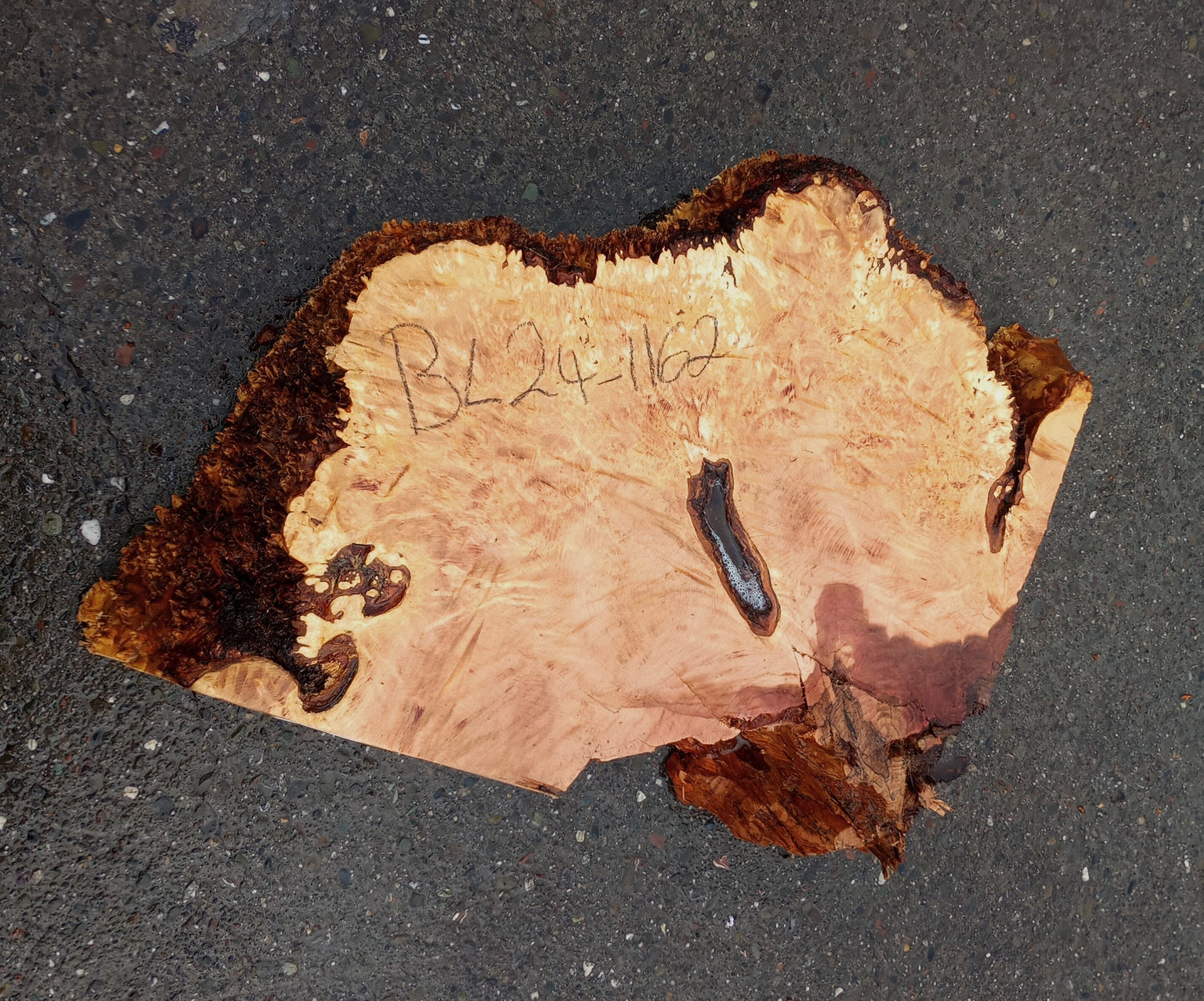 Maple Burl Block | Craft wood | Maple Burl | DIY Craft Wood | MA24-1162