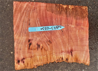 Madrone burl | bowl turning | wood turning | DIY wood crafts | bl23-0530-md