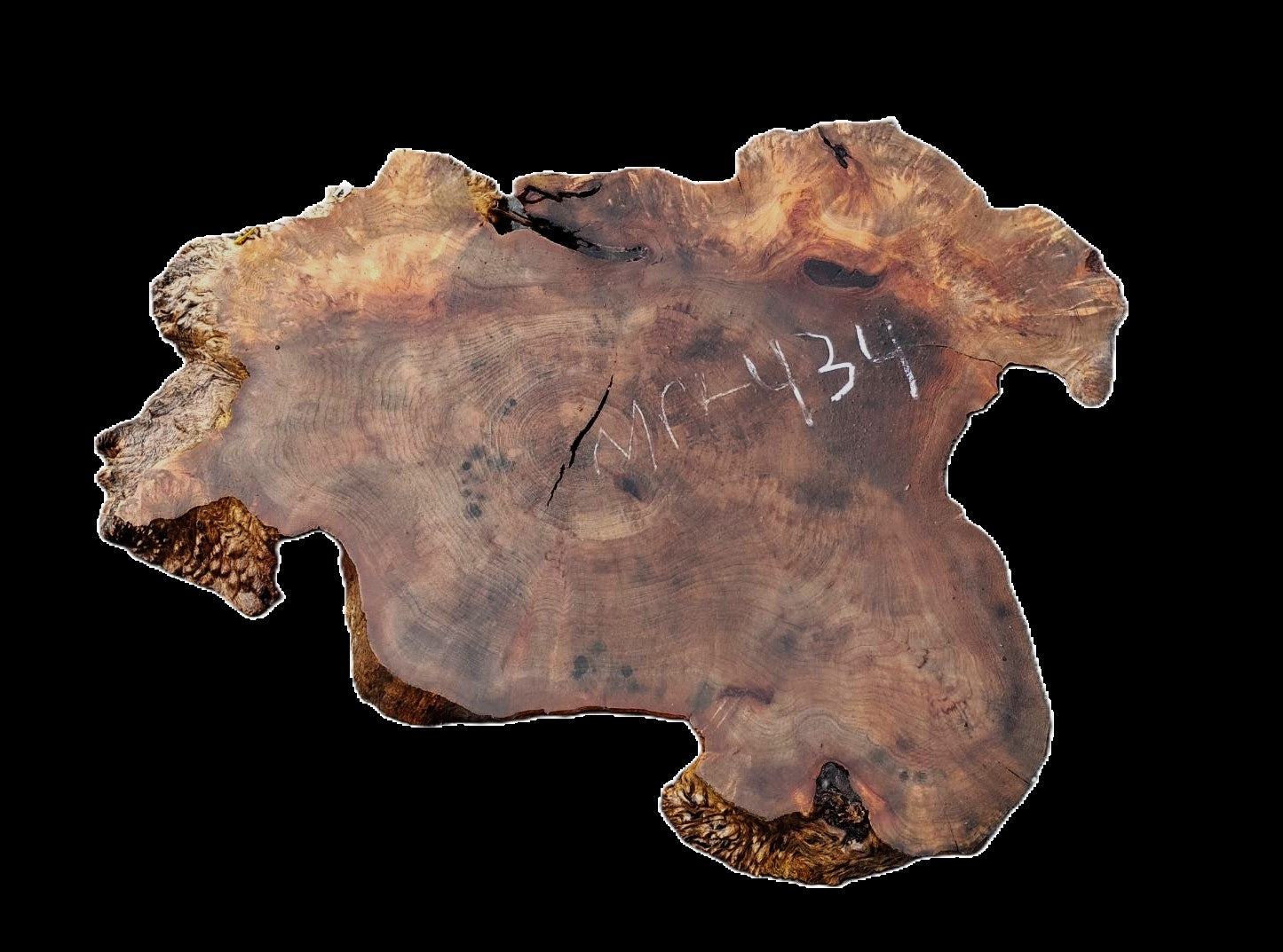 Myrtle Burl Slab | Live Edge | River Table | DIY | Mrt434