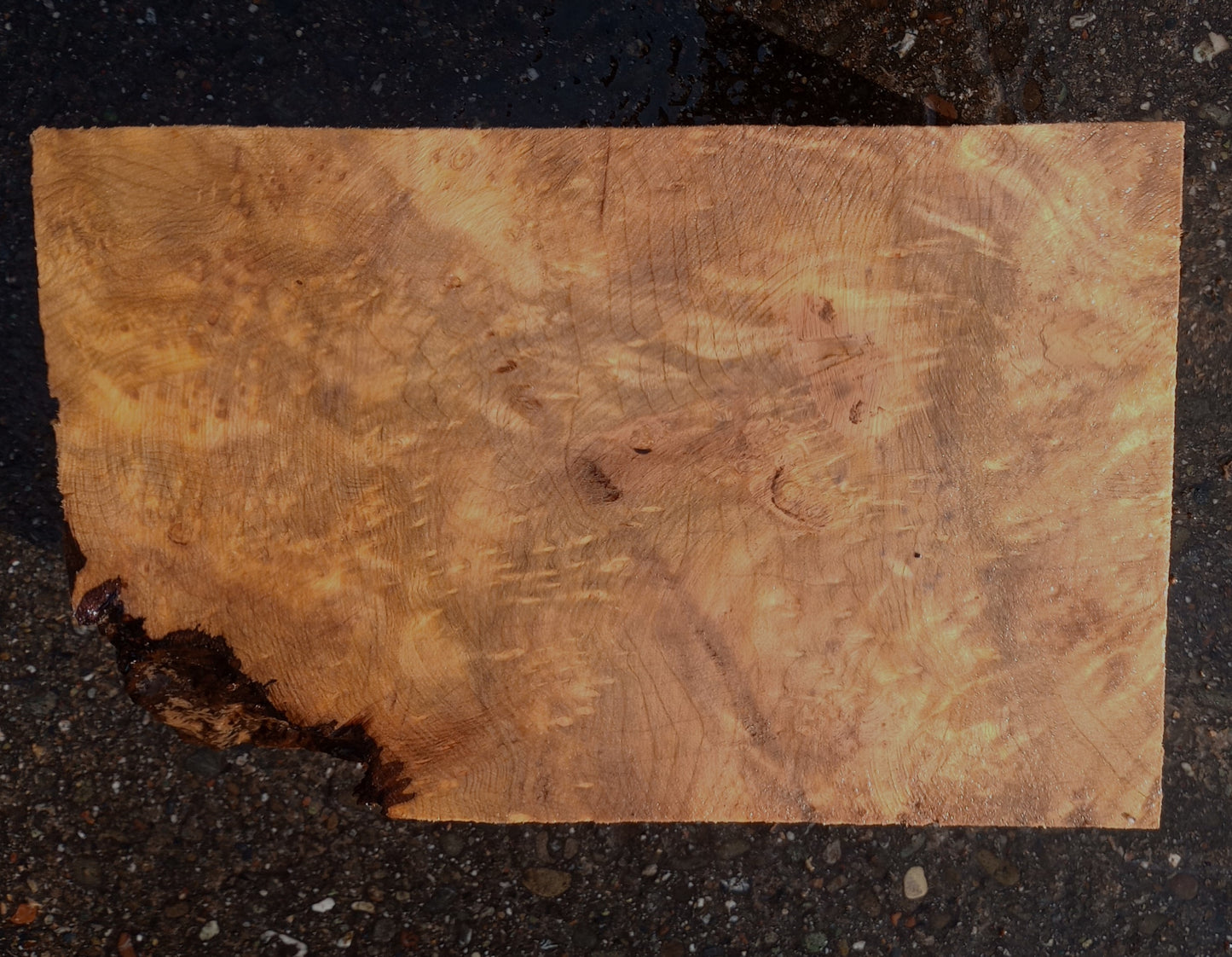 myrtle wood | Turning block | wood turning | DIY wood | bl23-1148