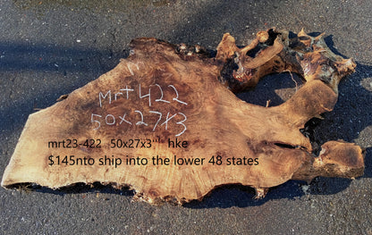 Myrtle Burl Slab | Bay Laurel | DIY | Table | Craft Wood | River Table | Mrt422