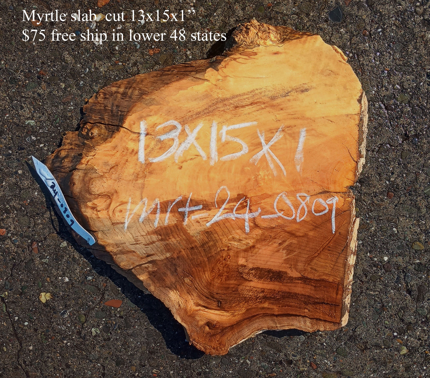 Myrtle Wood | Exotic Wood | Spalted | DIY Wood Crafts | Mrt24-0809