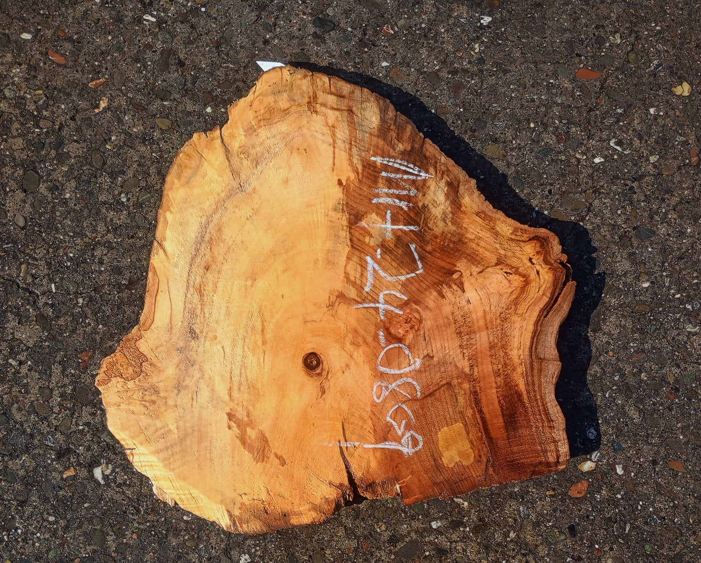 Myrtle Wood | Exotic Wood | Spalted | DIY Wood Crafts | Mrt24-0809