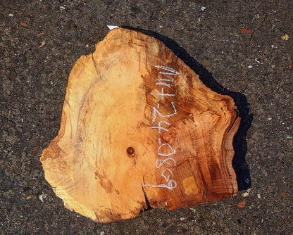 Myrtle Wood | Exotic Wood | Spalted | DIY Wood Crafts | Mrt24-0809