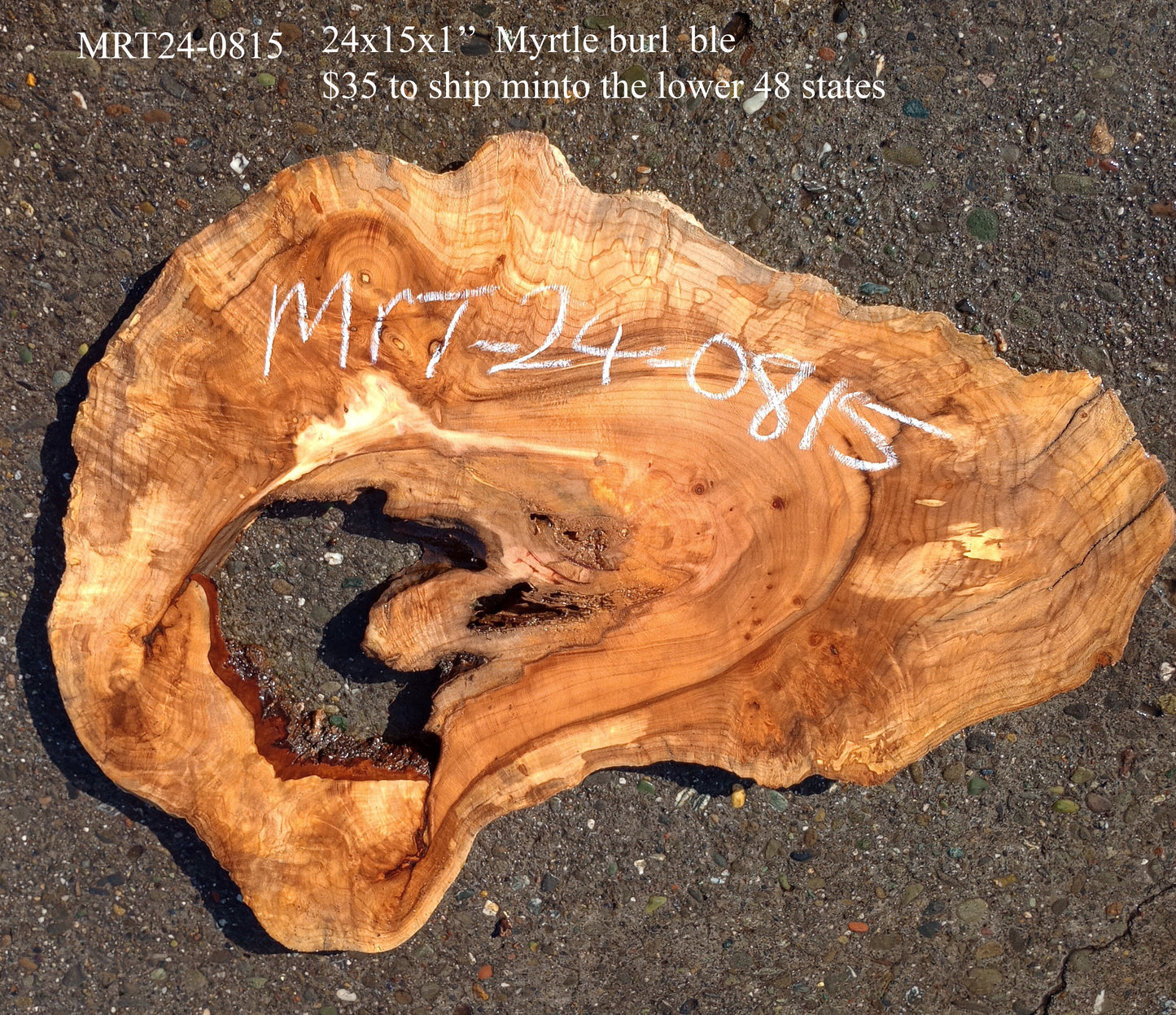 Myrtle burl | Exotic Wood | Wall Art | DIY Wood Crafts | Mrt24-0815