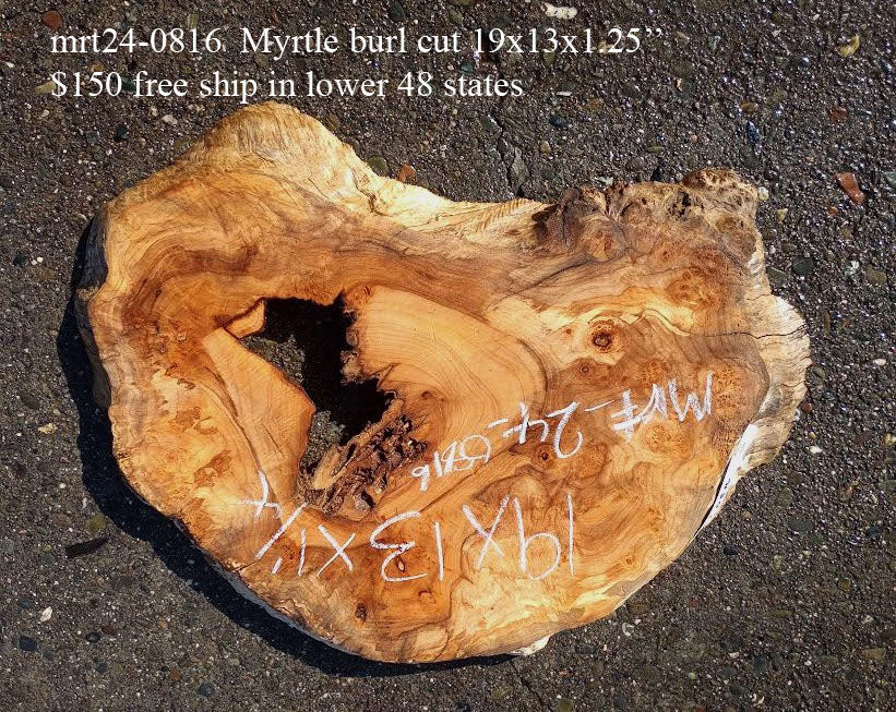 Myrtle burl | Exotic Wood | Wall Art | DIY Wood Crafts | Mrt24-0816