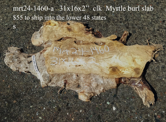 Myrtle Burl Slab |  DIY Crafts | Epoxy Design Idea | MRT24-1460