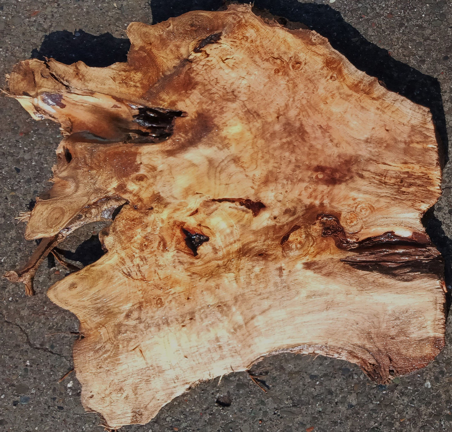 Epoxy River Table |  DIY Crafts | Myrtle Burl | MRT24-1454