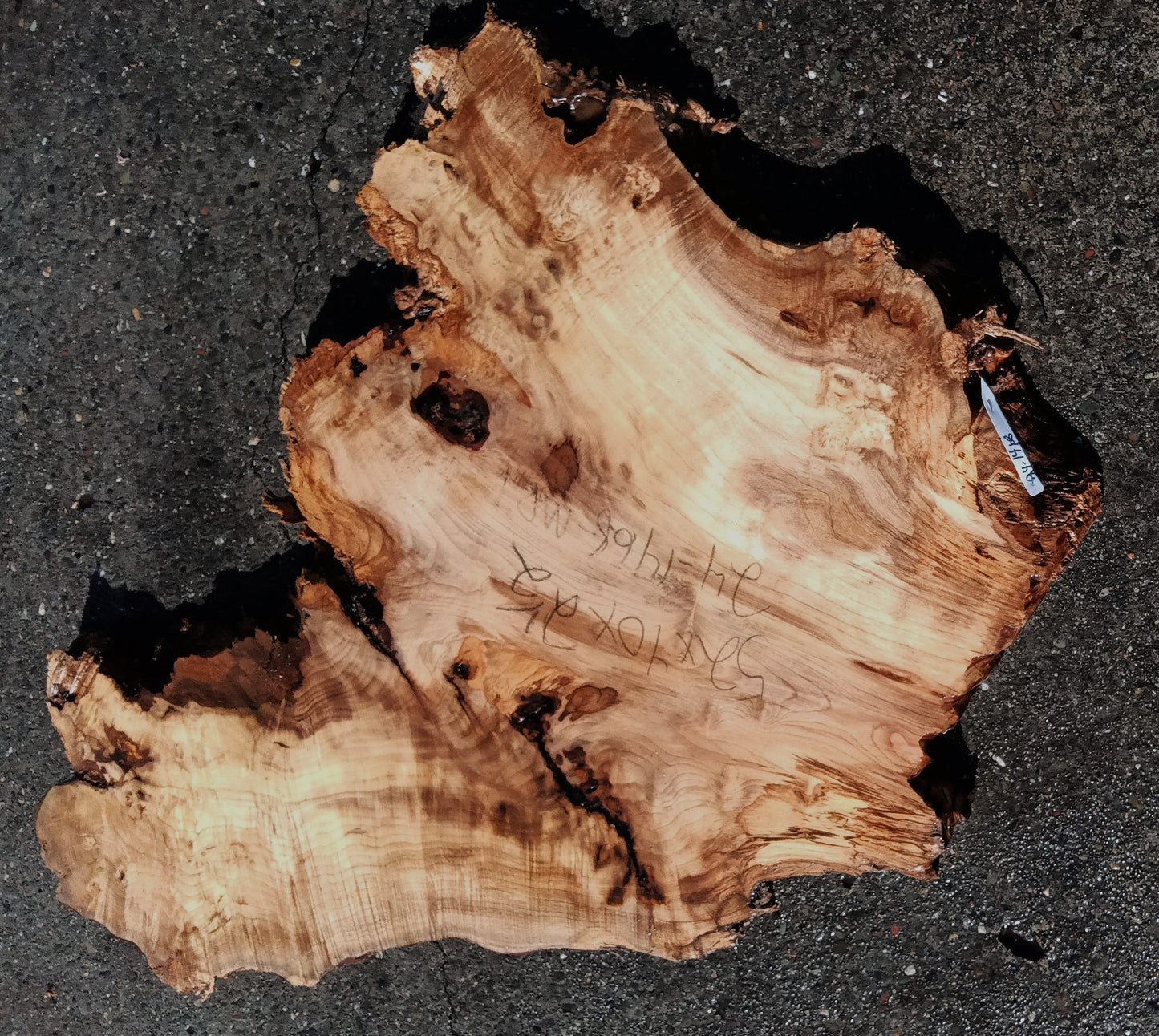 Myrtle Burl Slab |  DIY Crafts | Epoxy Design Idea | MRT24-1468