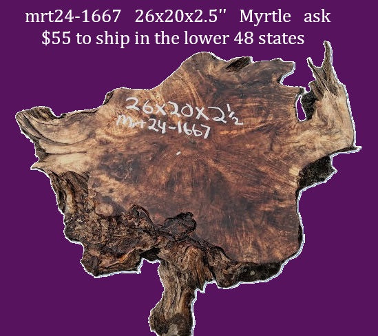 myrtle burl | river table | DIY | Live edge slab | mrt24-1667