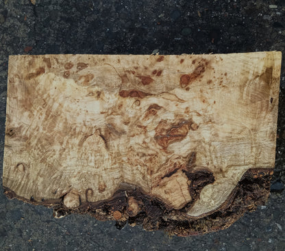 Myrtle Burl | Craft Wood | Bowl Turning | Mrt24-1802