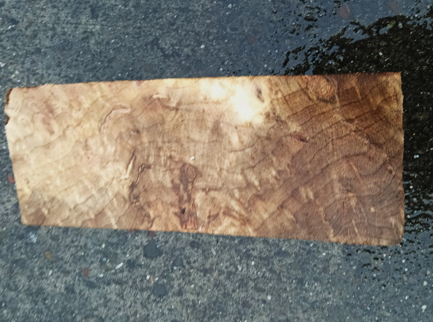 Myrtle Burl Block | Craft Wood | Bowl Turning | Mrt24-1911