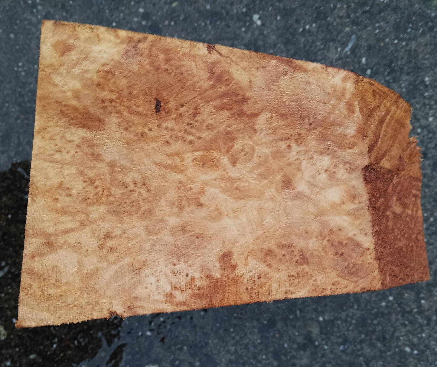 Myrtle Burl Block | Craft Wood | Bowl Turning | Mrt24-1917