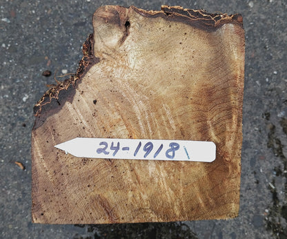 Myrtle Burl Block | Craft Wood | Bowl Turning | Mrt24-1918