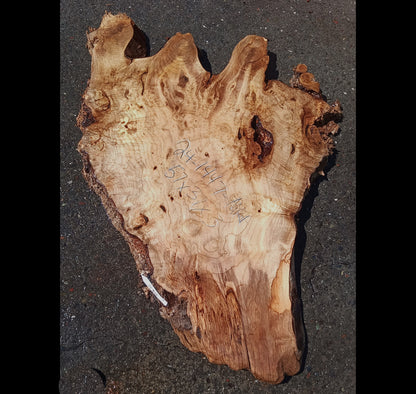 Epoxy River Table | Live Edge | DIY Crafts | Myrtle Burl | MRT24-1447