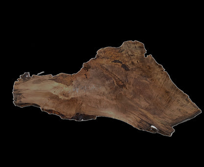 Myrtle Burl Slab | DIY | Table | Craft Wood | River Table | Mrt25-0755