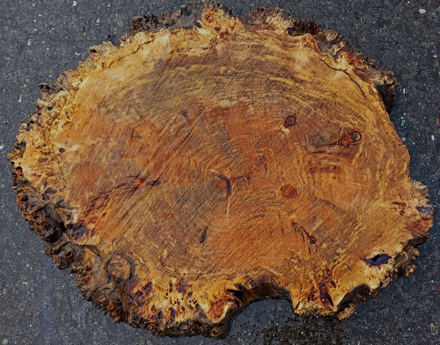 Myrtle Burl Slab | Live Edge | River Table | DIY |  Ma25-2330